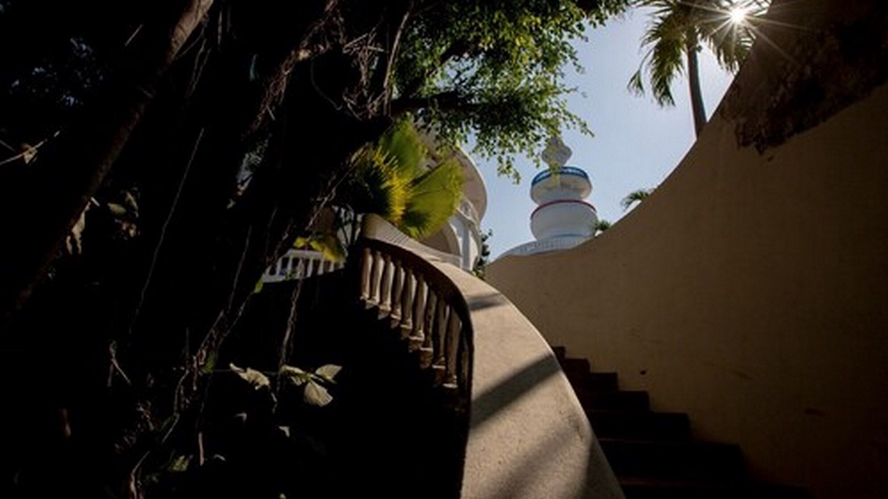 Photo of Outdoor in Nosara
