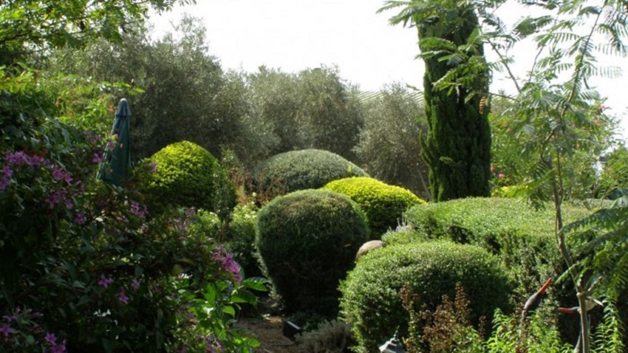 Photo of Outdoor in Ramot