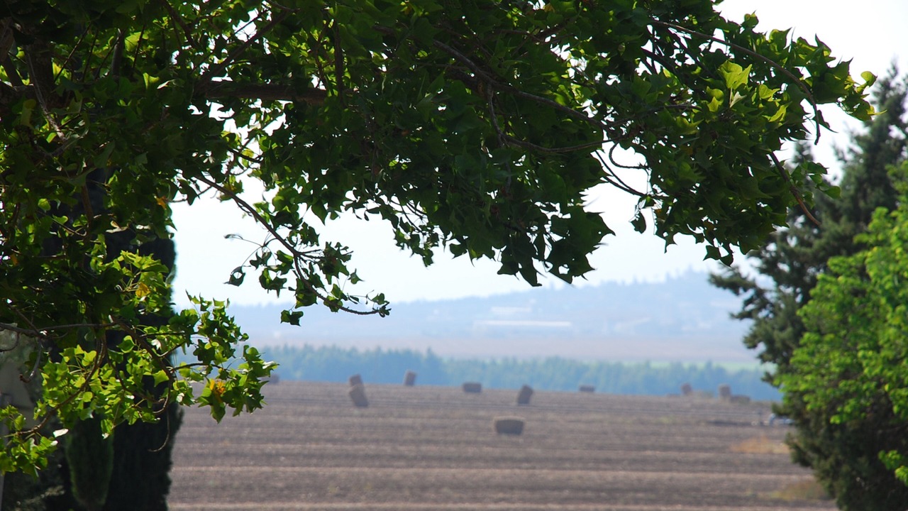 Photo of Outdoor in Mizra