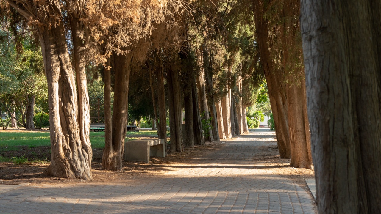 Photo of Outdoor in Mizra