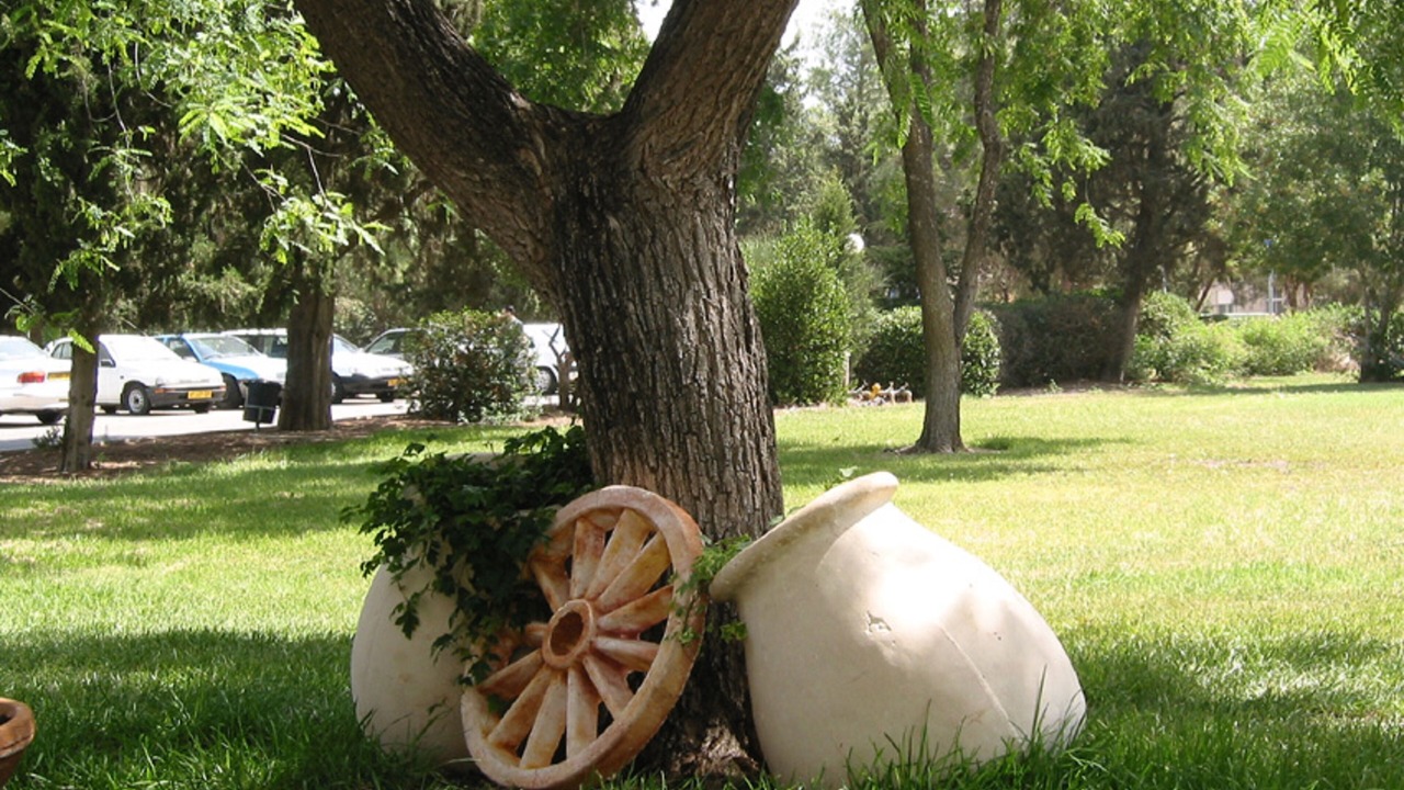 Photo of Outdoor in Mizra