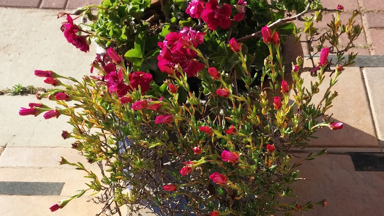 Photo of Outdoor in Nof Kinneret