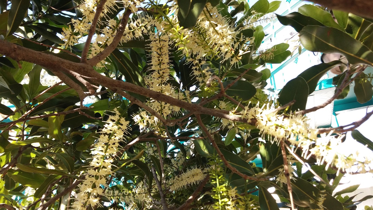 Photo of Outdoor in Nof Kinneret