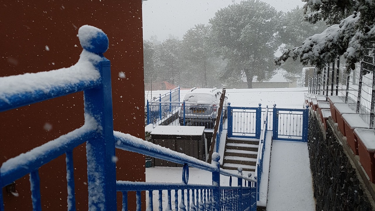Photo of Outdoor in Odem