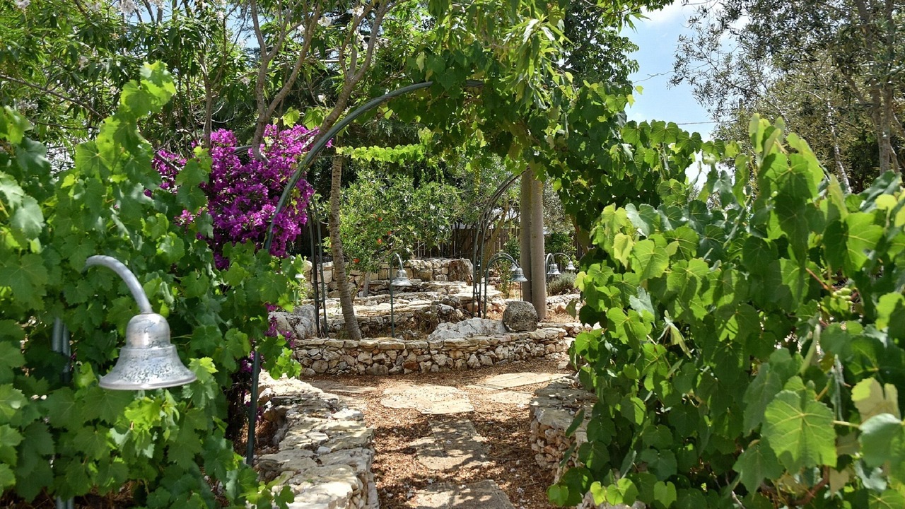 Photo of Outdoor in Shomera