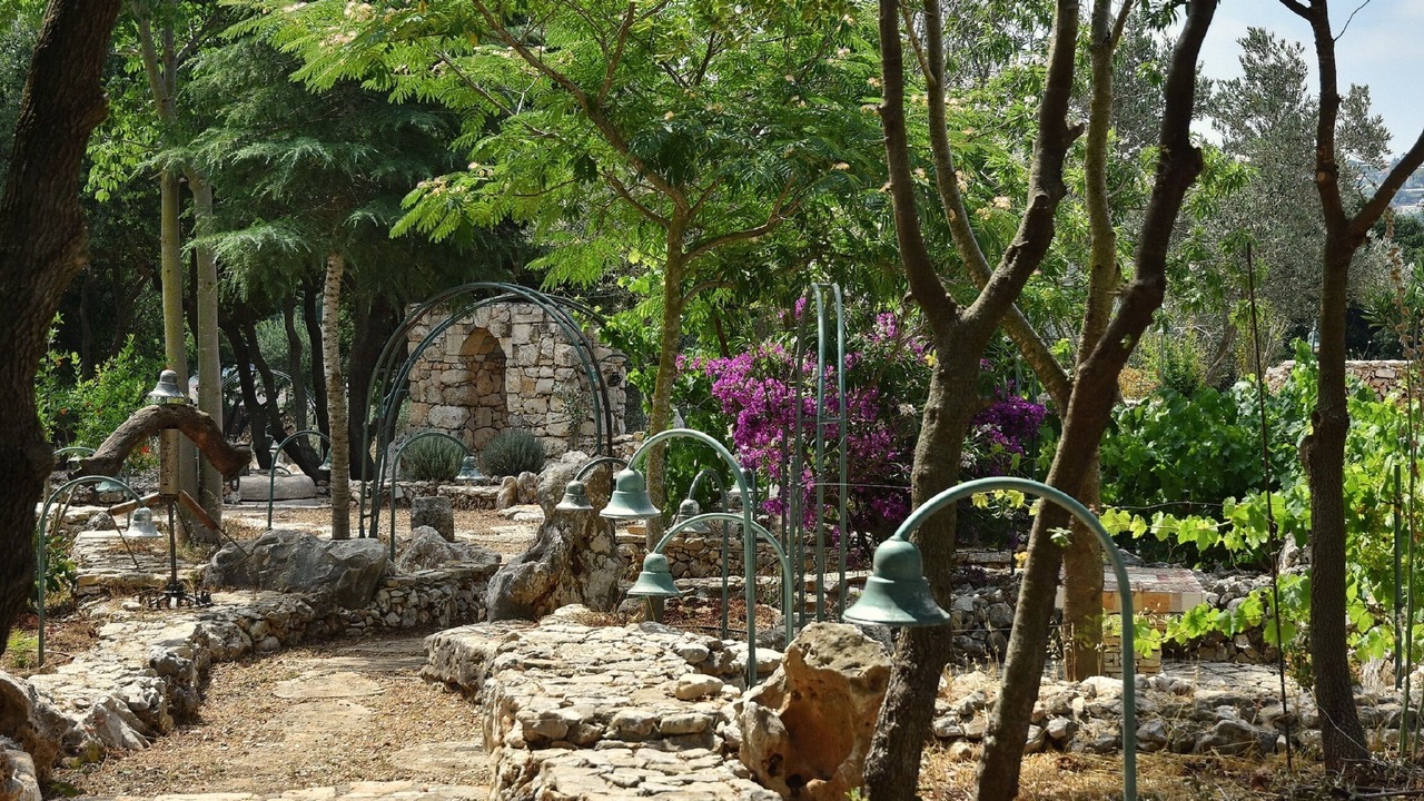 Photo of Outdoor in Shomera