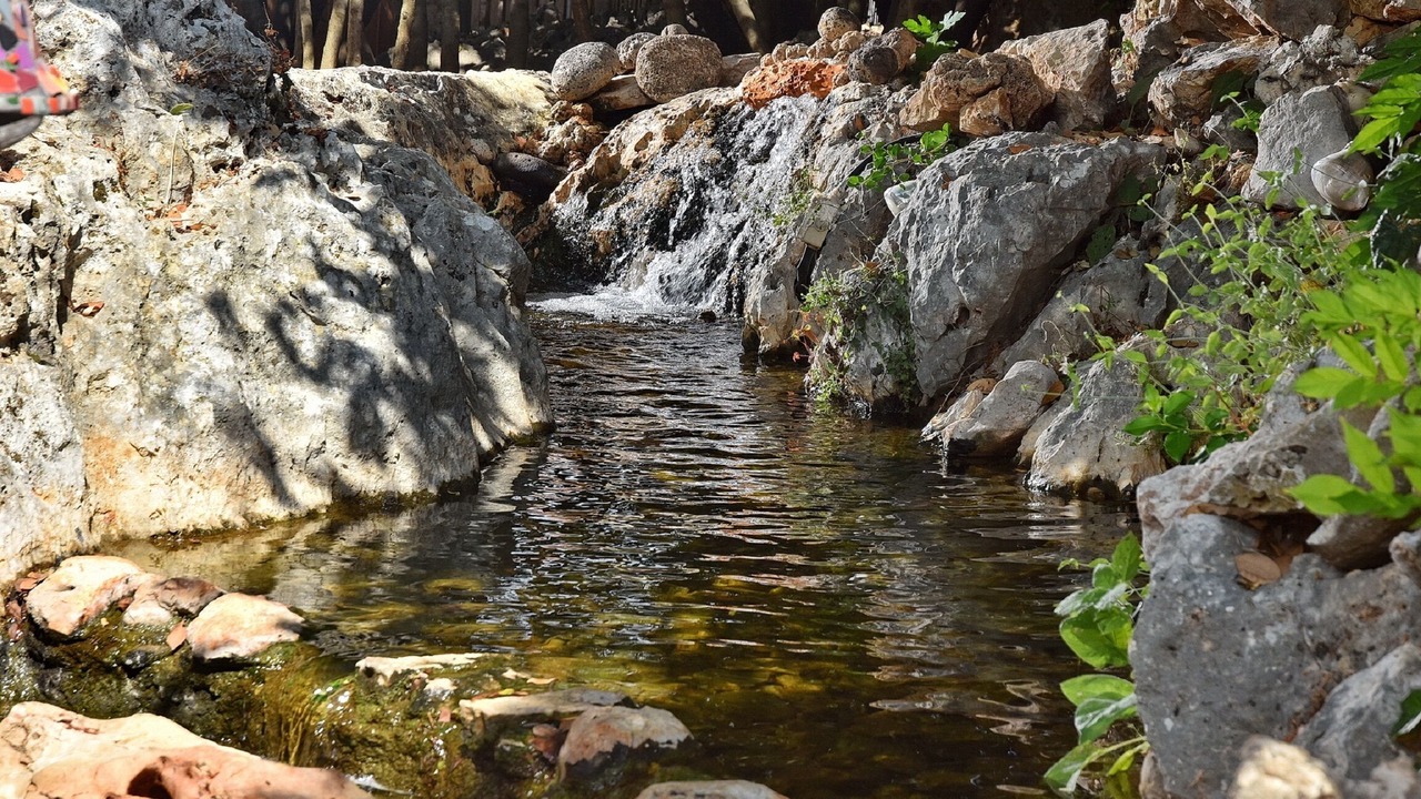 Photo of Outdoor in Shomera