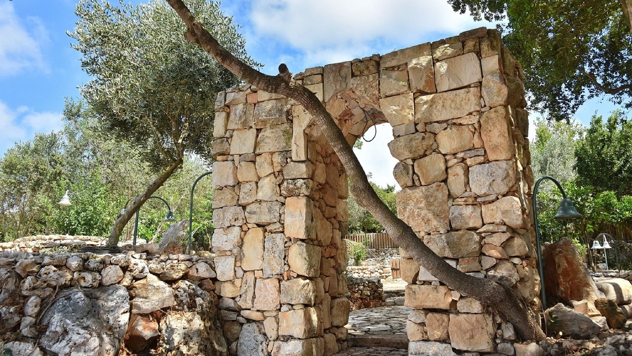 Photo of Outdoor in Shomera