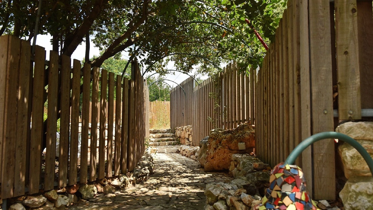 Photo of Outdoor in Shomera
