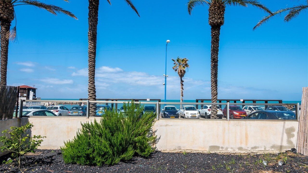 Photo of Outdoor in Haifa