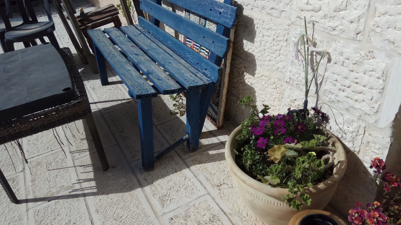 Photo of Outdoor in Mevaseret Zion