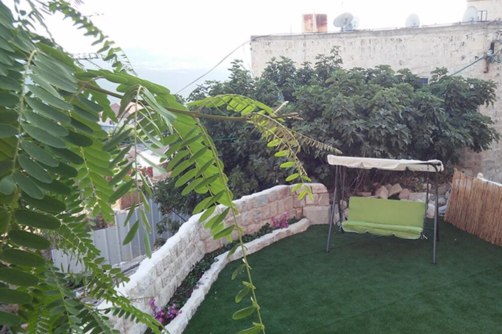 Photo of Others in Safed Old City