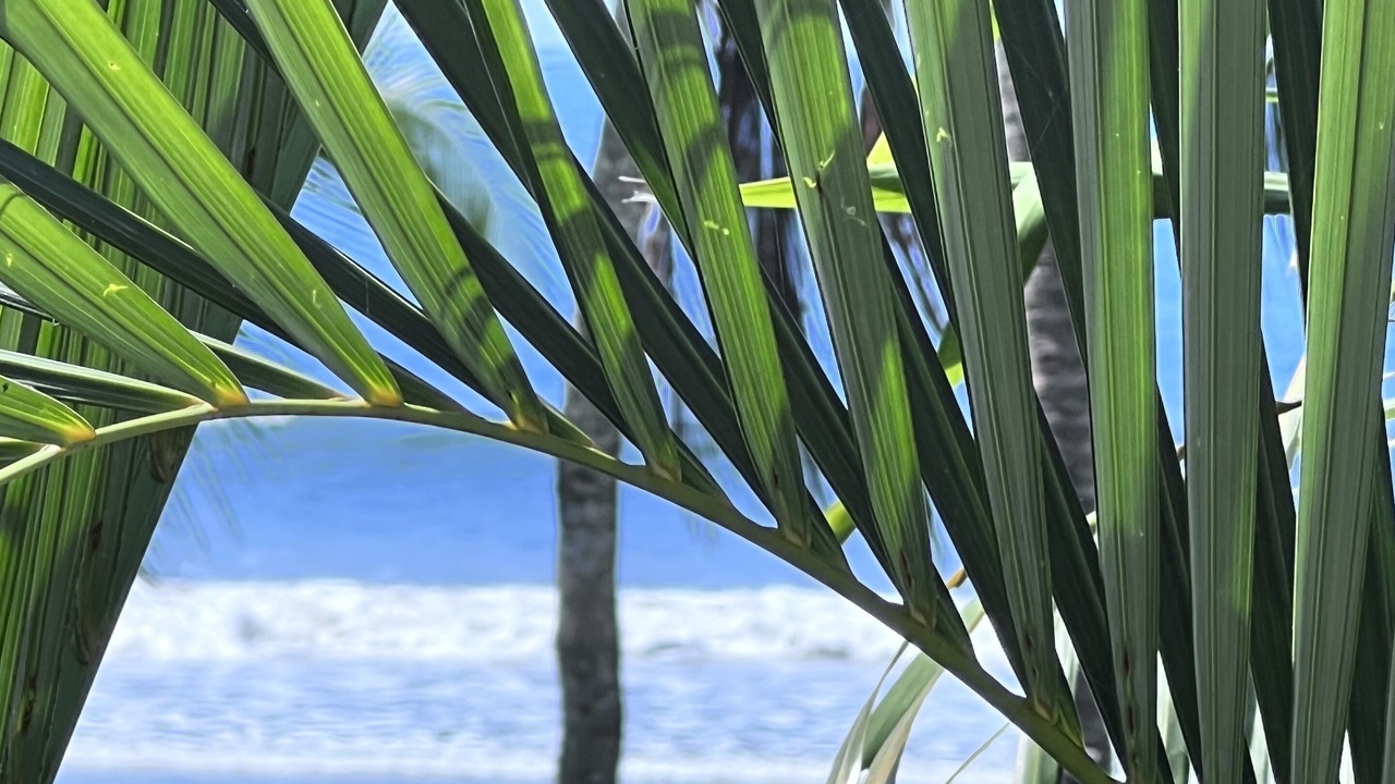 Photo of Outdoor in Playa Hermosa