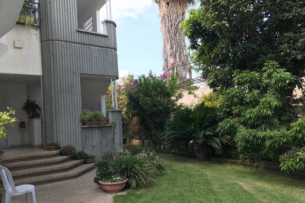 Photo of Others in Ramat Gan