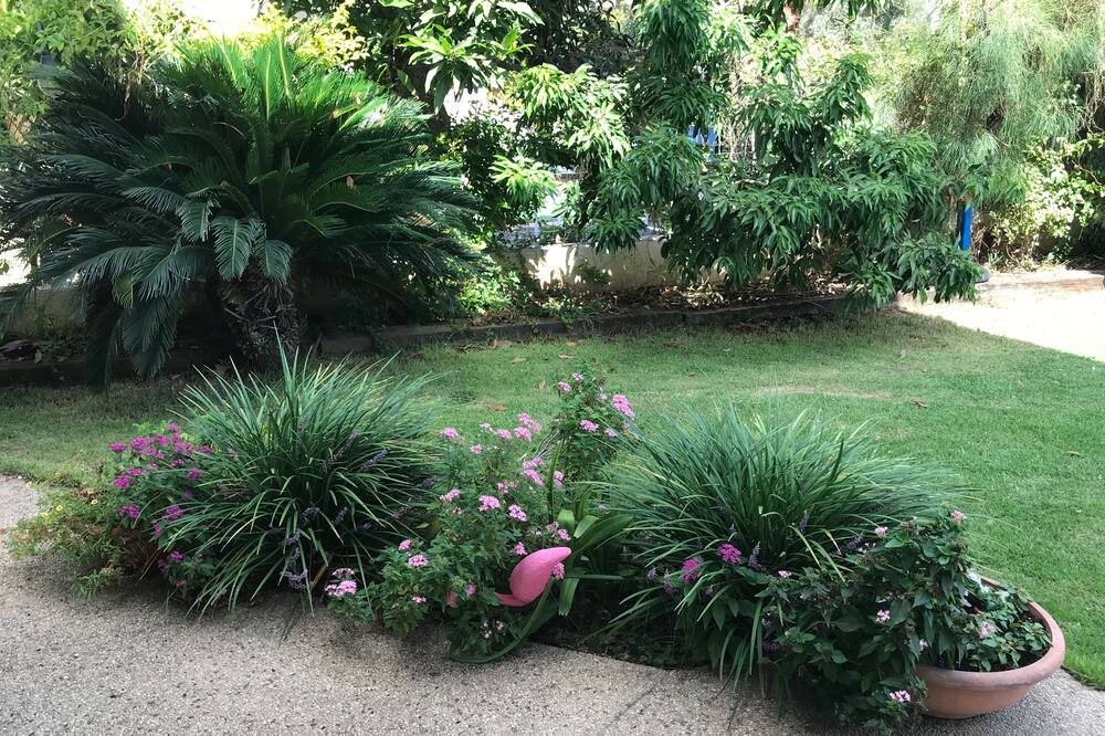Photo of Others in Ramat Gan