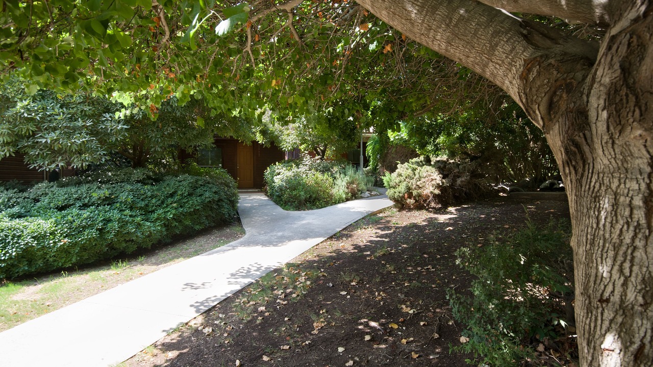 Photo of Outdoor in Dalia
