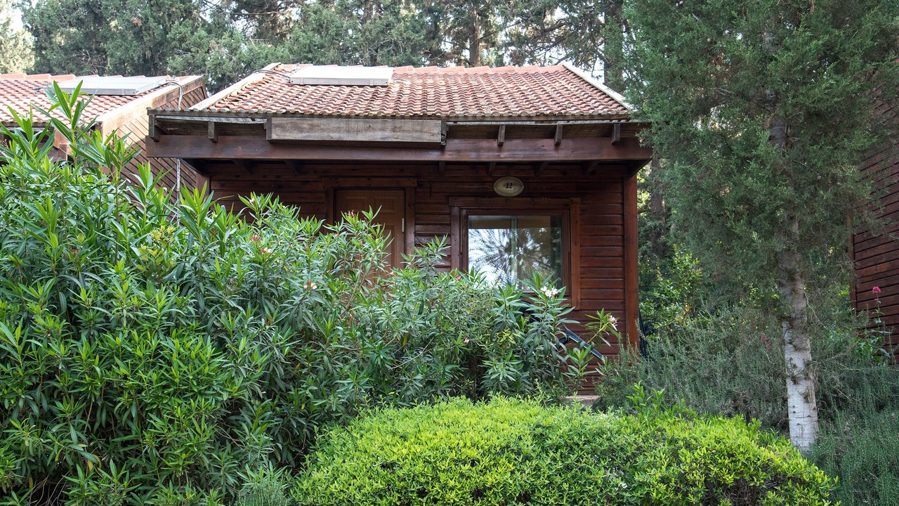 Photo of Outdoor in Dalia