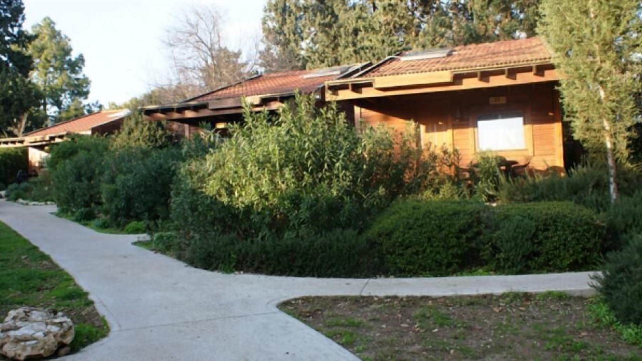 Photo of Outdoor in Dalia