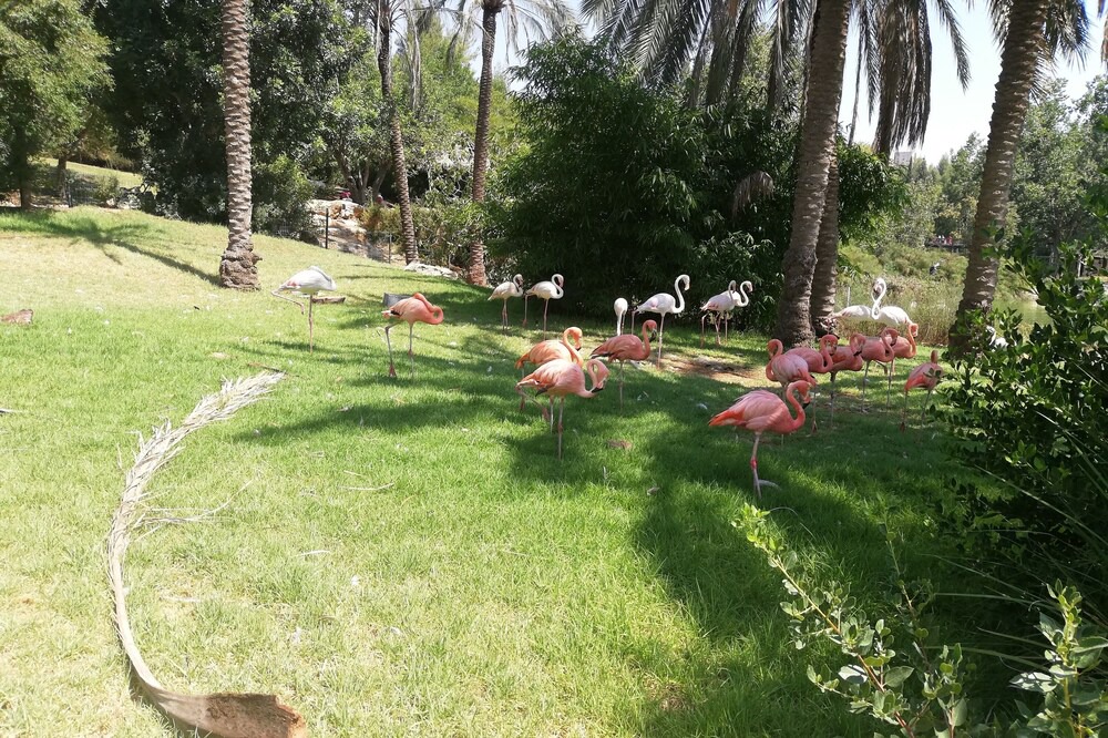 Photo of Others in al-Khader