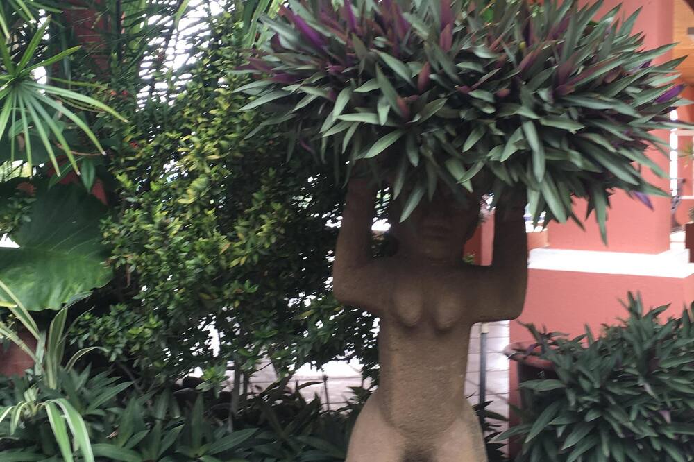 Photo of Outdoor in Matapala
