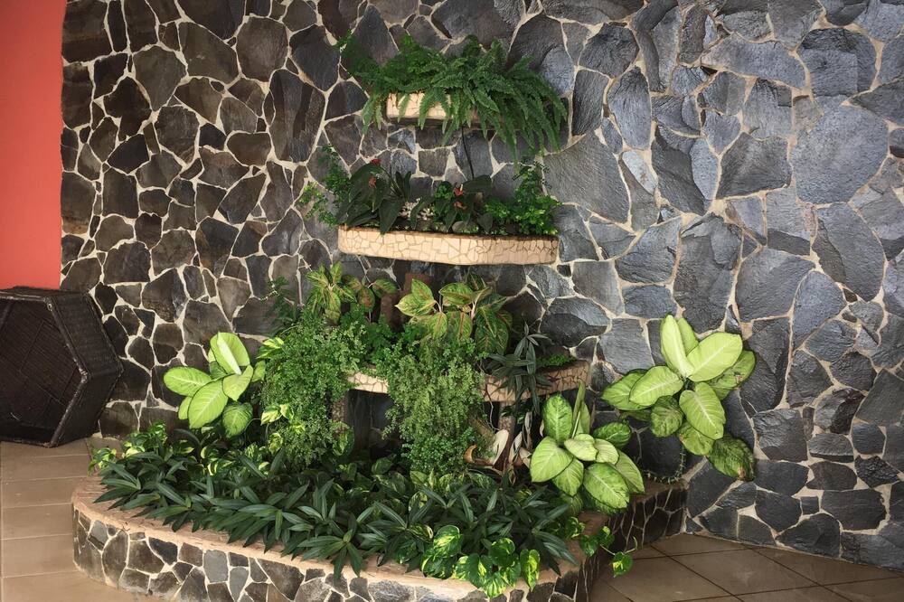 Photo of Outdoor in Matapala
