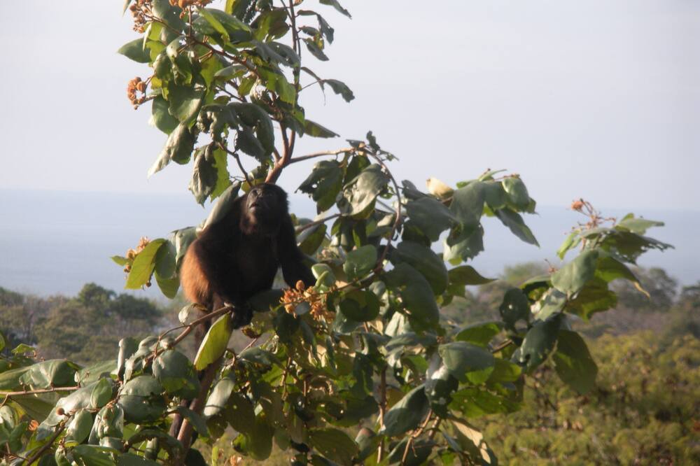 Photo of Others in Matapala