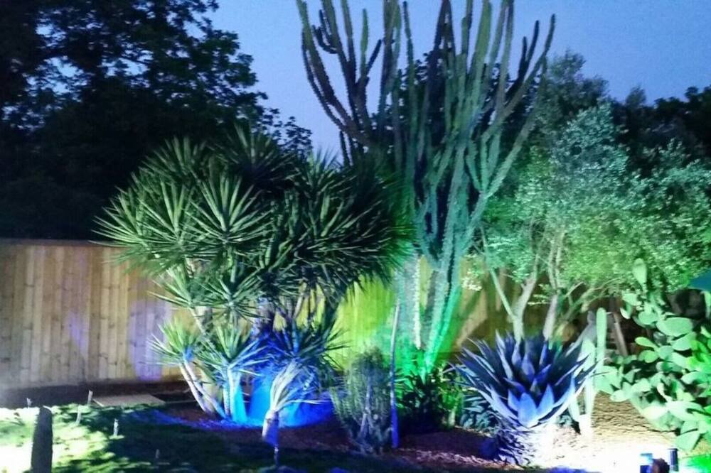 Photo of Outdoor in Drom HaSharon