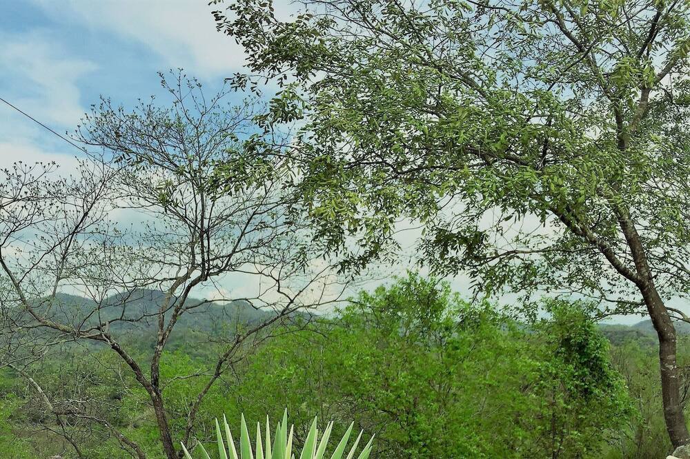 Photo of Outdoor in Matapala