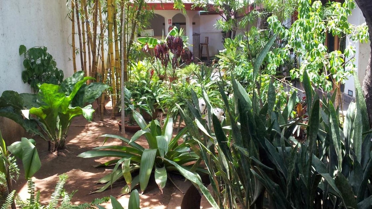 Photo of Outdoor in Granada