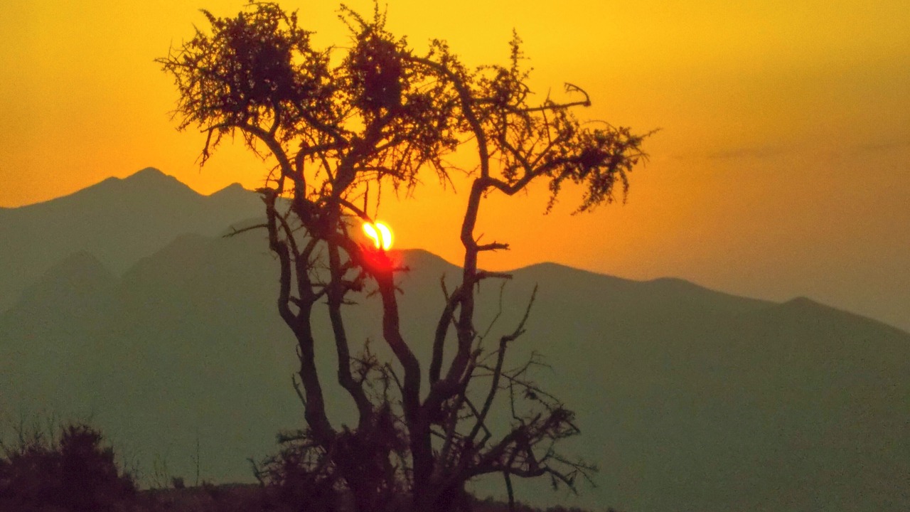 Photo of Outdoor in Al Hamra