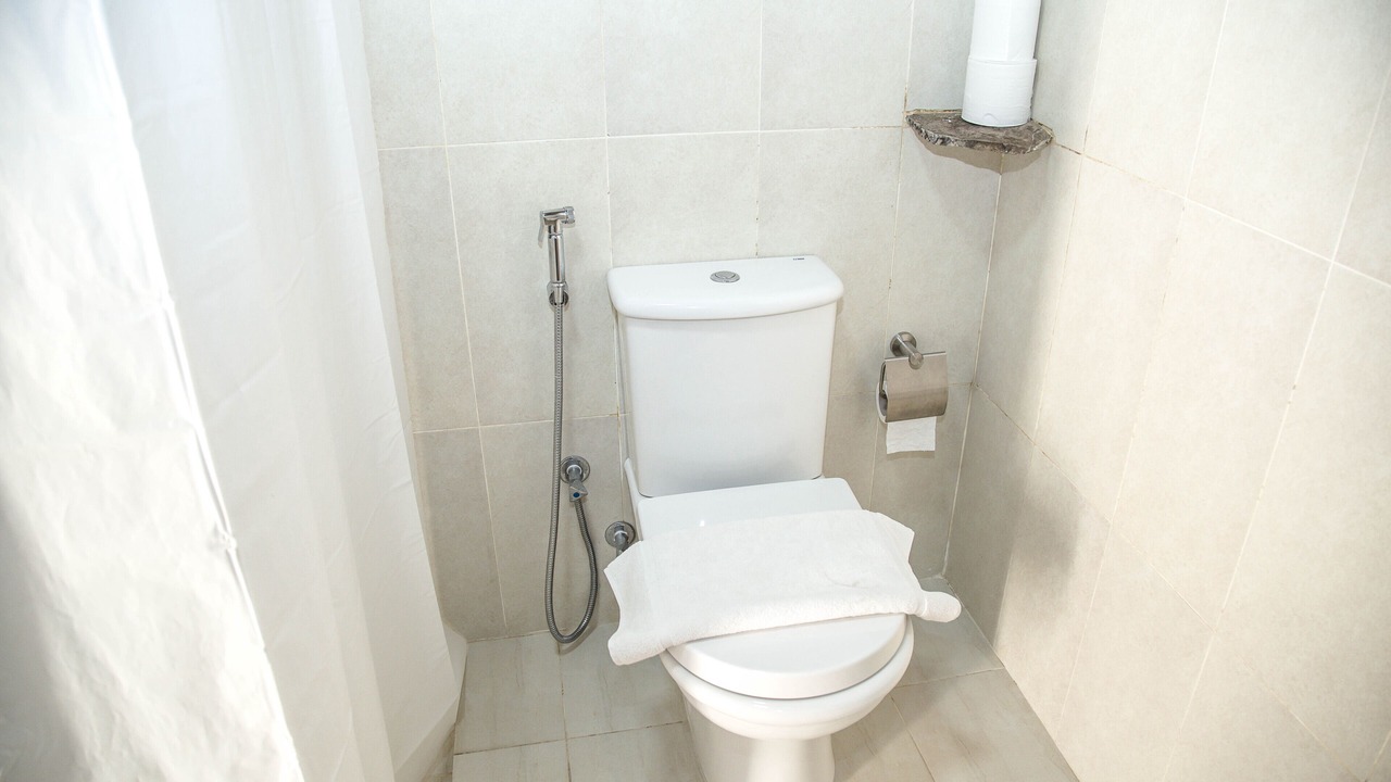 Photo of Bathroom in Bidiya