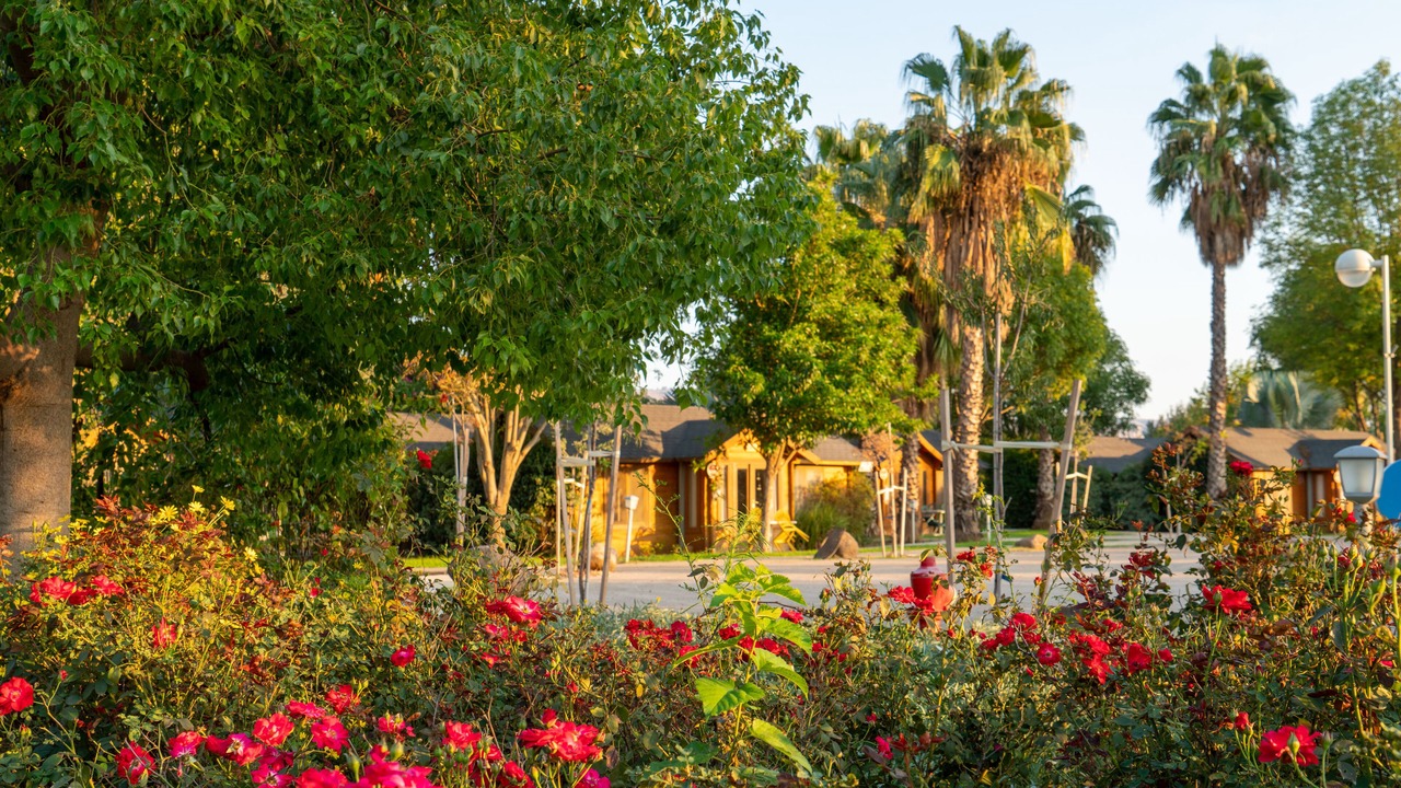 Photo of Outdoor in Sde Nehemia