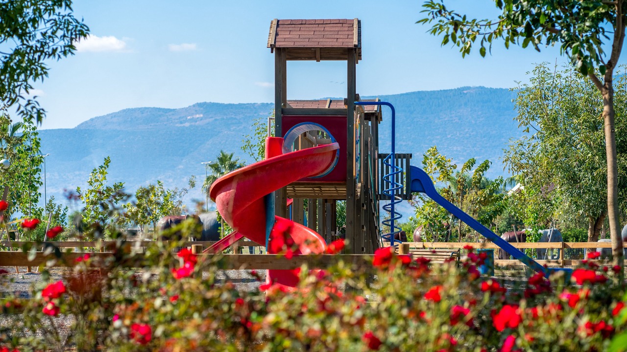 Photo of Outdoor in Sde Nehemia