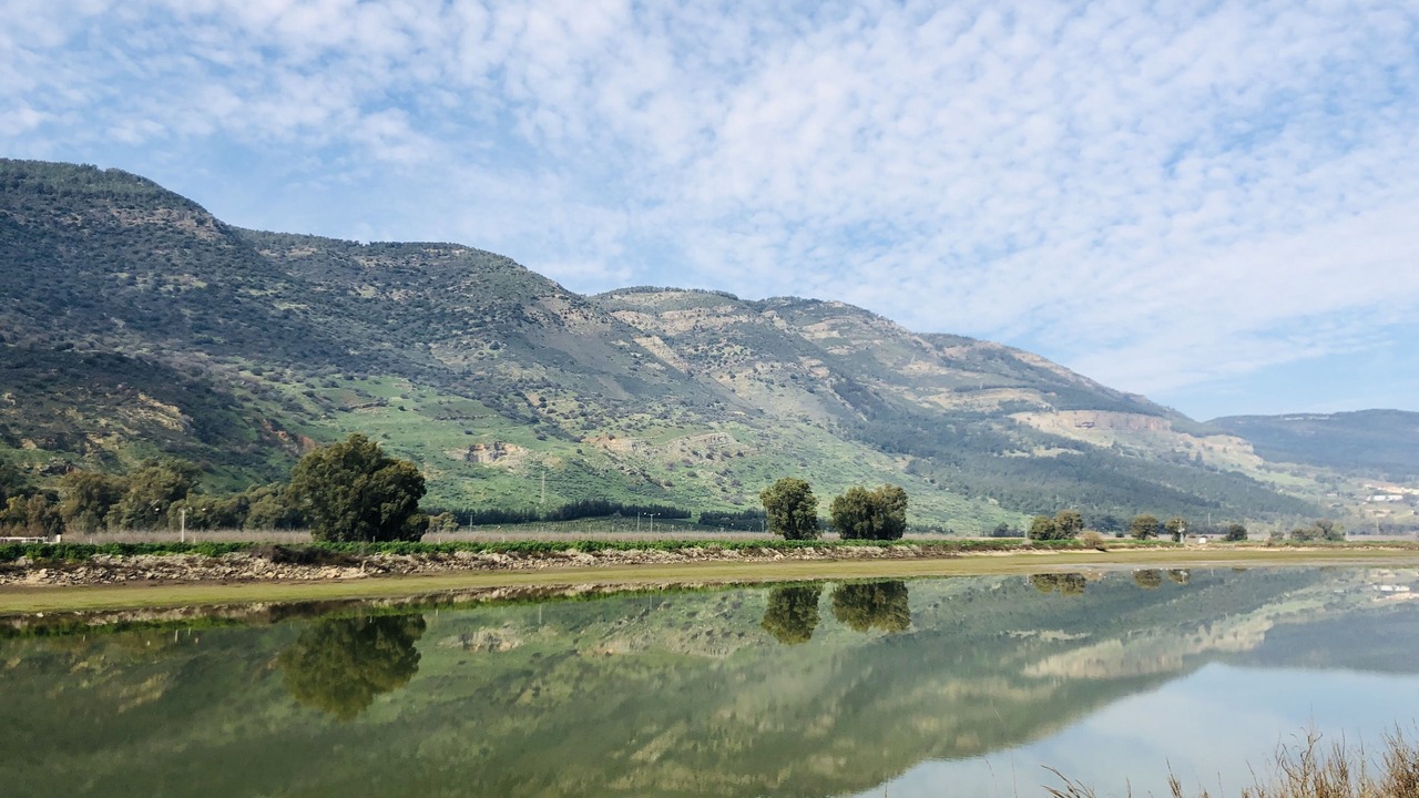 Photo of Outdoor in Sde Nehemia