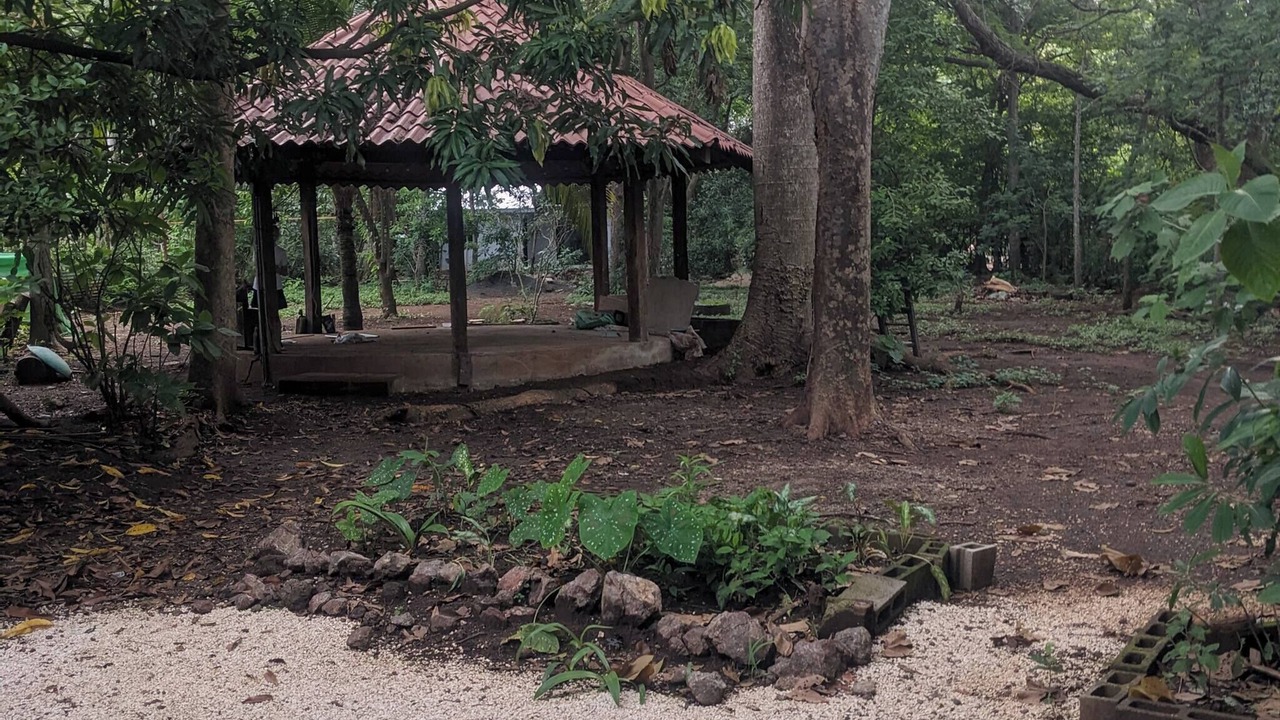 Photo of Outdoor in Coco