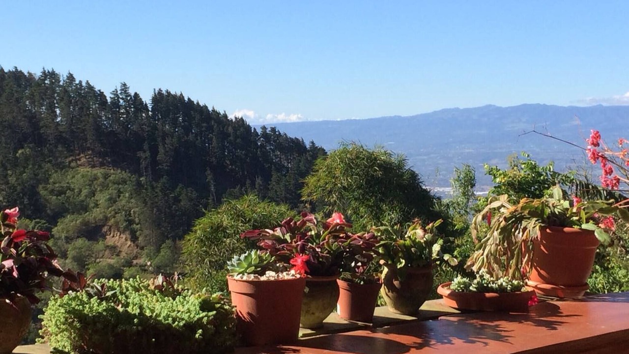 Photo of Patio Balcony in Pan de Azucar