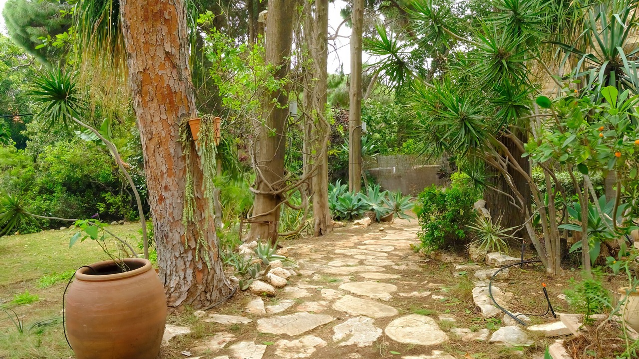 Photo of Outdoor in Haifa