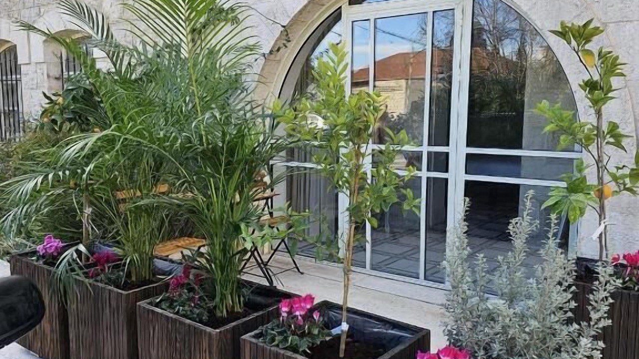 Photo of Outdoor in Haifa