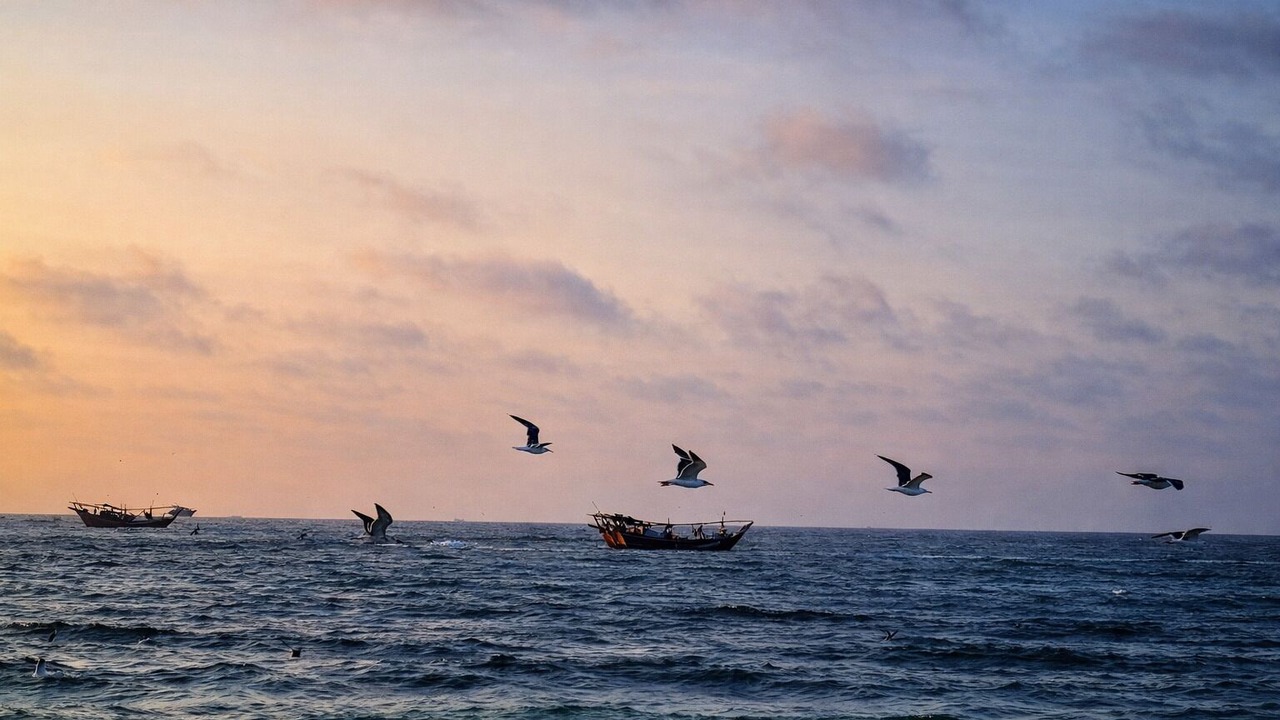 Photo of Outdoor in Ash Sharqiyah South Governorate