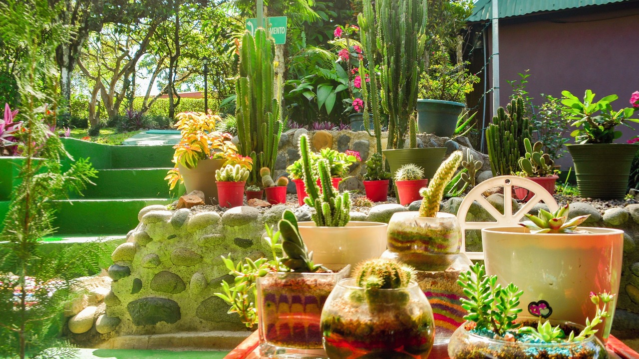 Photo of Outdoor in San Vito