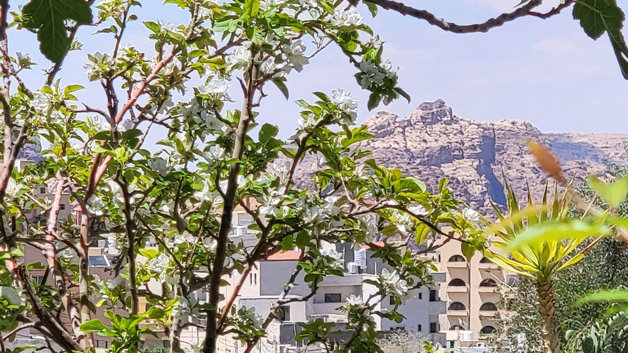 Photo of Outdoor in Wadi Musa