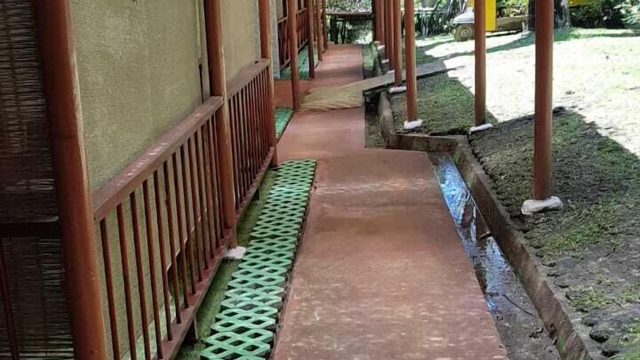 Photo of Outdoor in Cahuita
