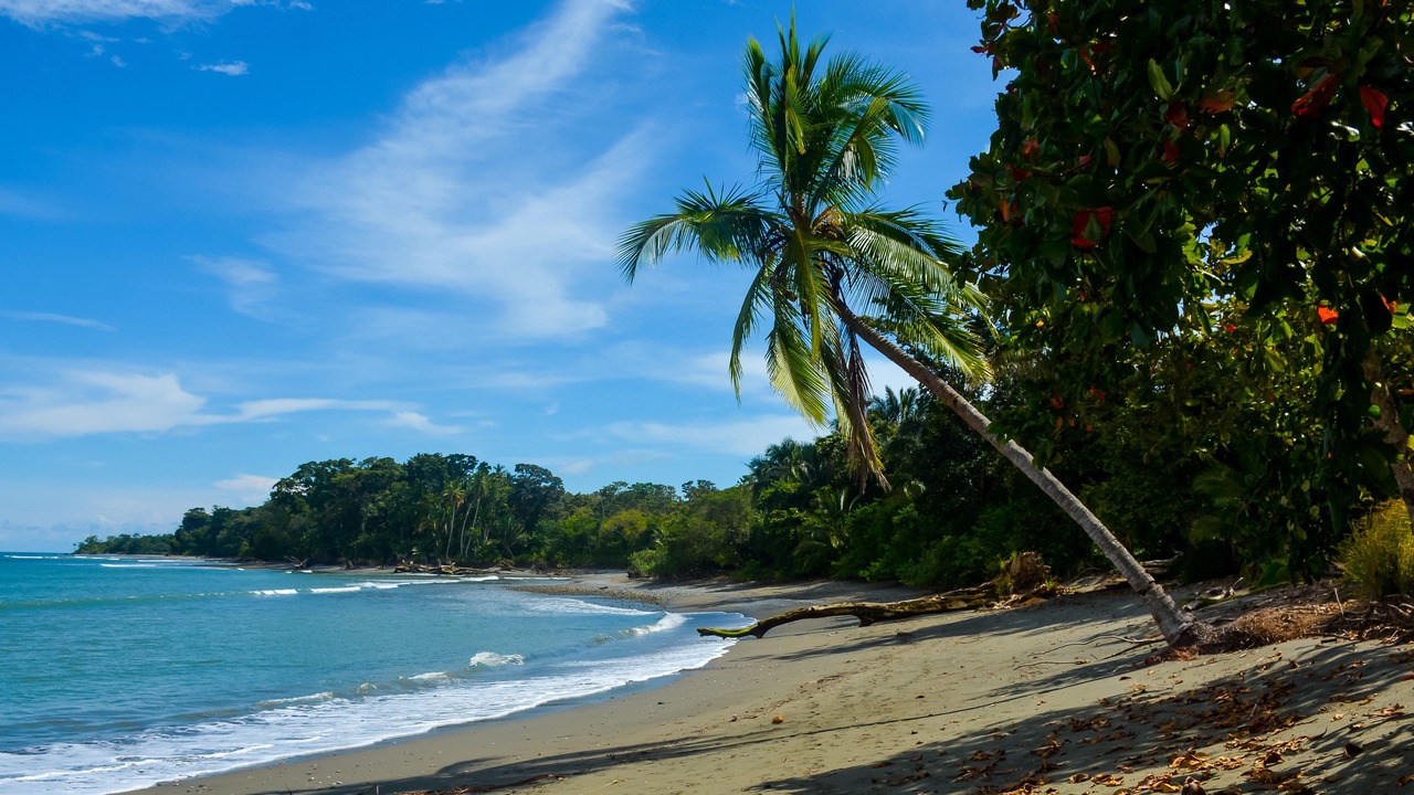 Photo of Others in Puerto Jimenez