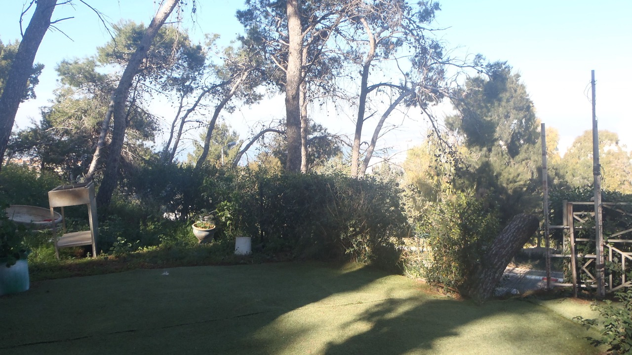 Photo of Outdoor in Haifa