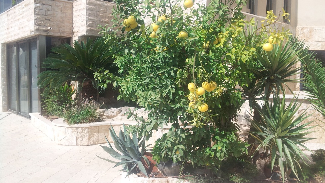 Photo of Outdoor in Haifa