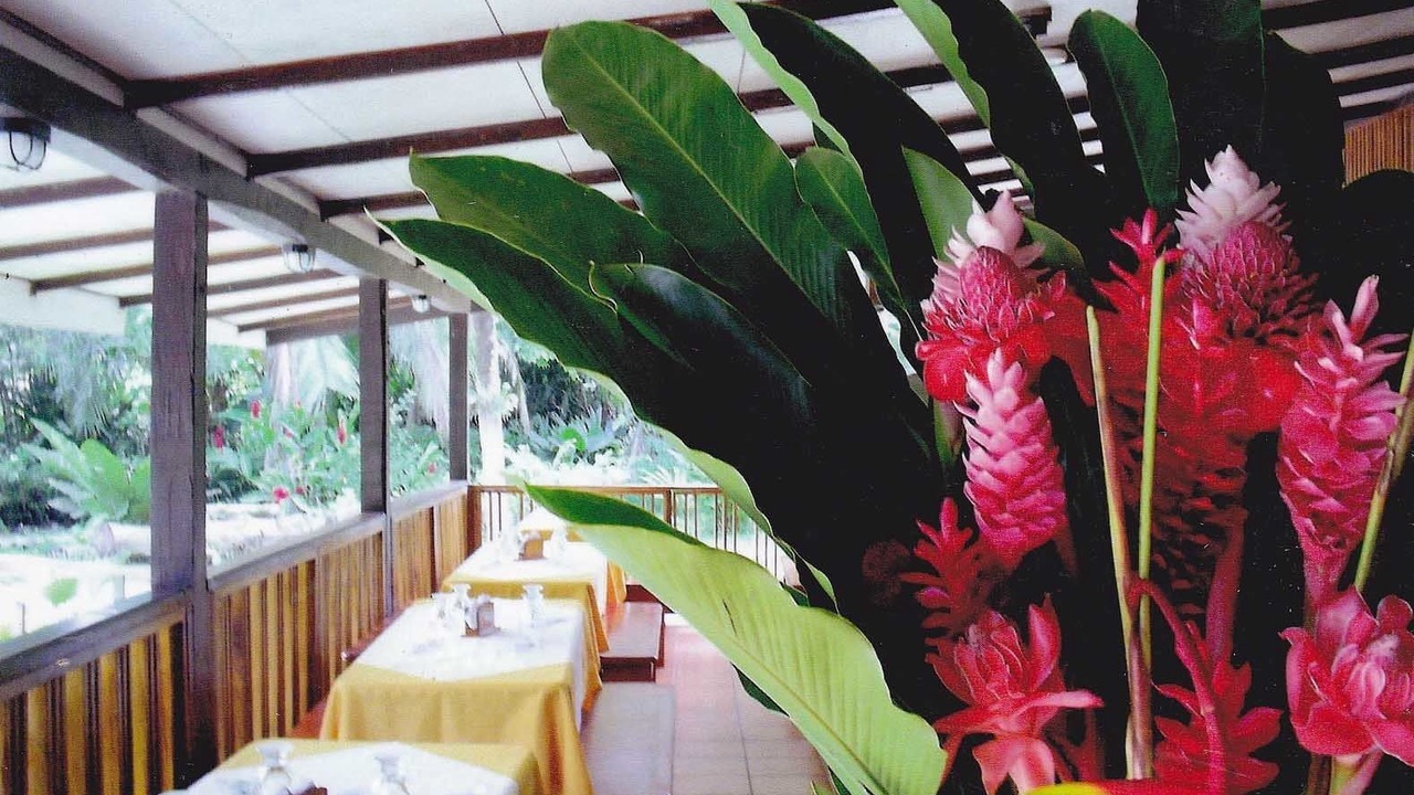 Photo of Others in Puerto Viejo de Talamanca