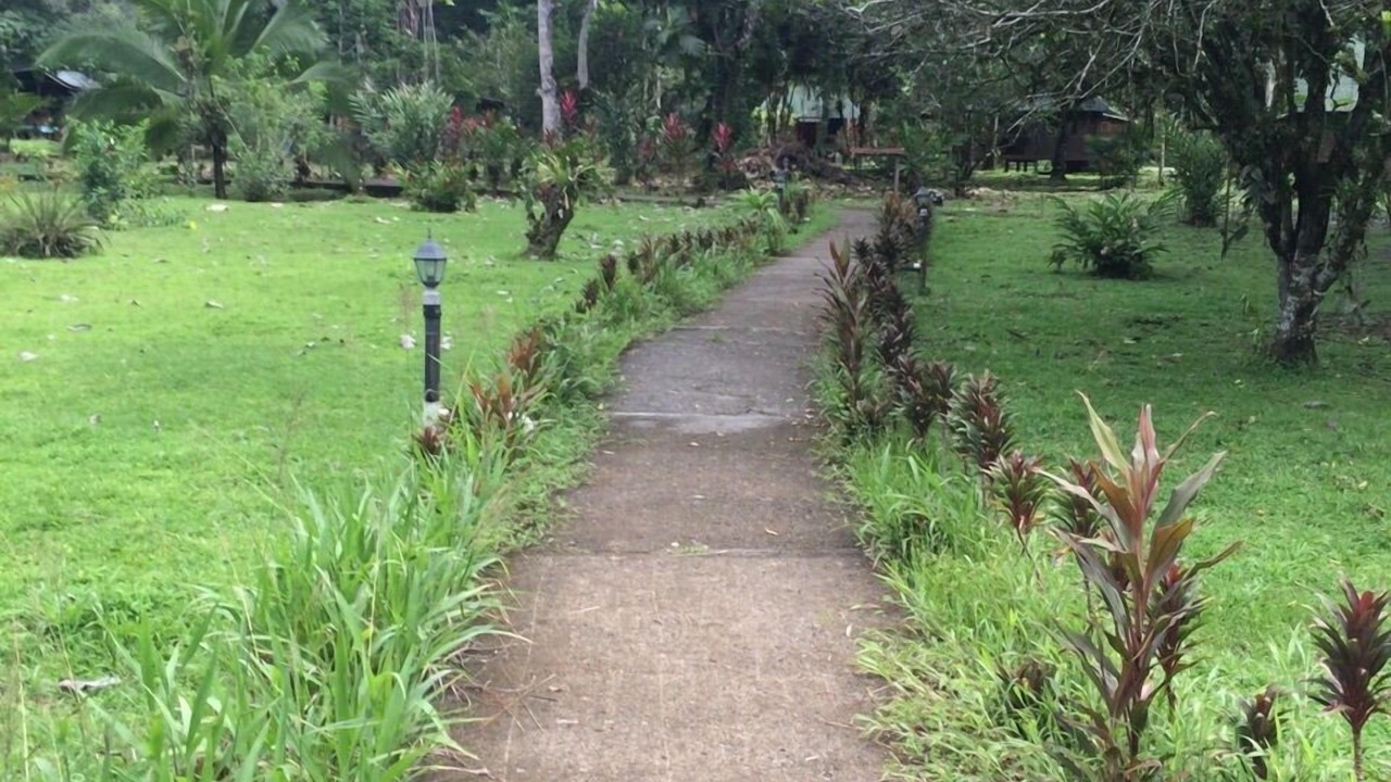 Photo of Outdoor in Puerto Viejo de Talamanca