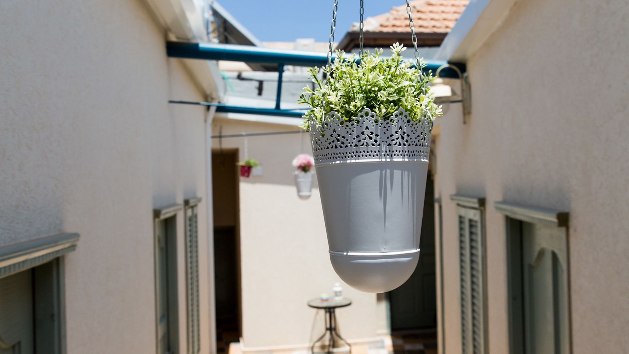 Photo of Outdoor in Old City