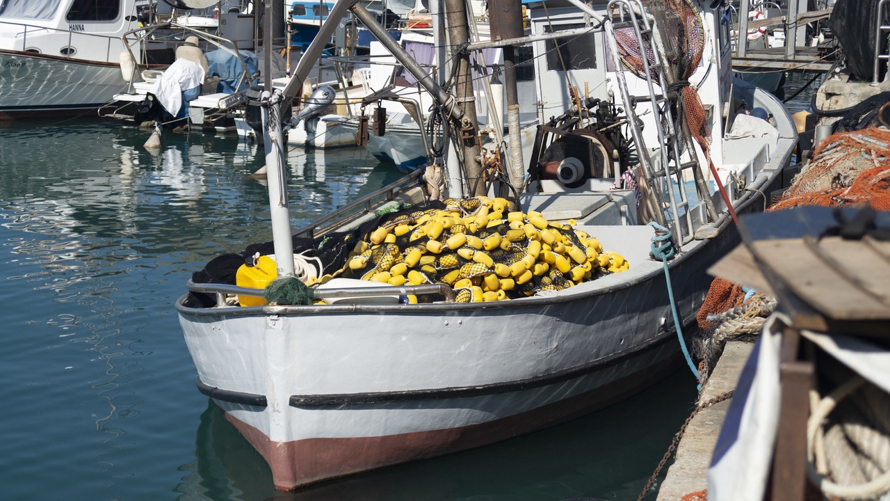Photo of Others in Jaffa