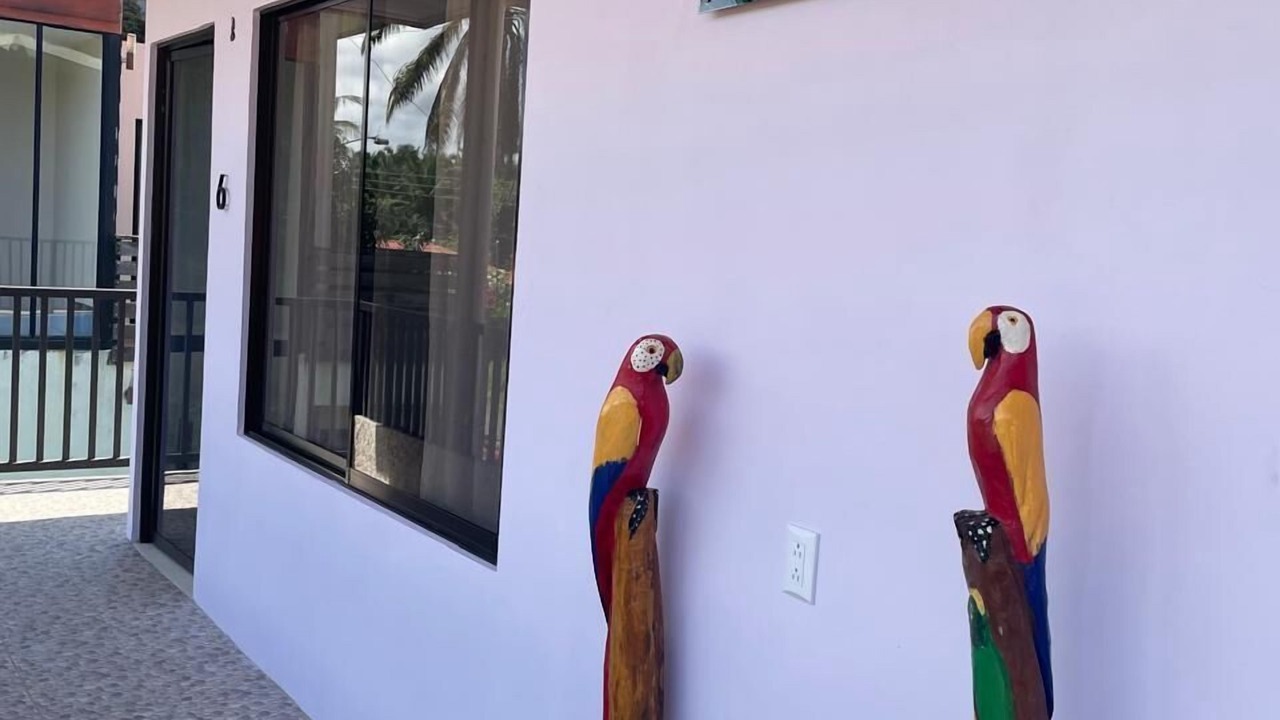 Photo of Outdoor in Canton Parrita